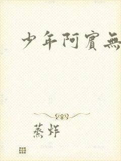 少年阿宾无删减