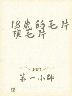 18岁的毛片电视毛片