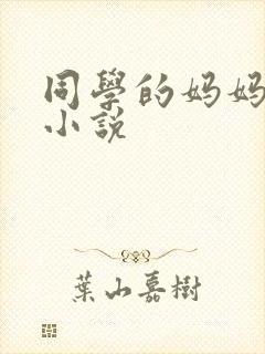 同学的妈妈王姨小说