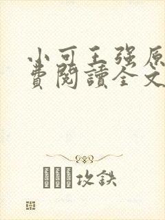 小可王强原文免费阅读全文最新章节