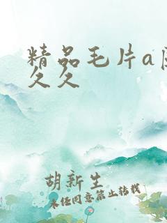 精品毛片a区久久久