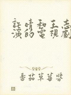 许晴和王志文主演的电视剧全部