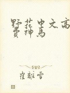 野花中文高清免费神马