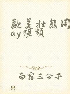 欧美壮熊同性gay视频