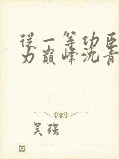 从一等功臣到权力巅峰沈青云