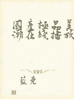 国产极品美女高潮在线播放网站