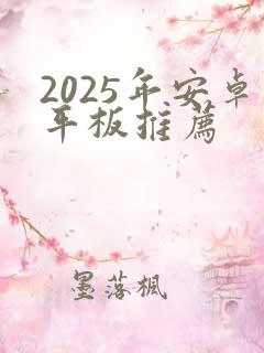 2025年安卓平板推荐