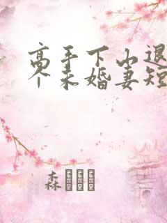 高手下山退婚九个未婚妻短剧免费高清