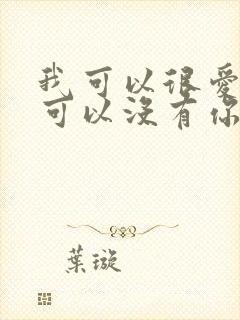 我可以很爱你也可以没有你歌词