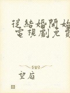 从结婚开始恋爱 电视剧免费观看在线