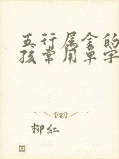 五行属金的字男孩常用单字