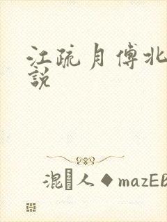 江疏月傅北宸小说