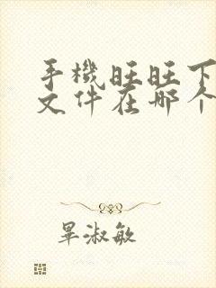 手机旺旺下载的文件在哪个文件夹