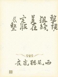 《完美狙击》完整版在线视频