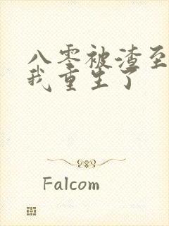 八零被渣至死后我重生了