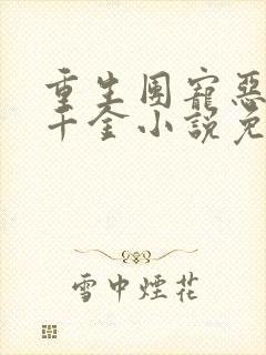 重生团宠恶魔小千金小说免费阅读