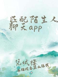 匹配陌生人语音聊天app