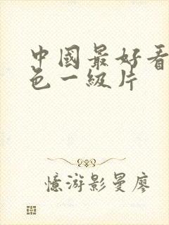 中国最好看的黄色一级片