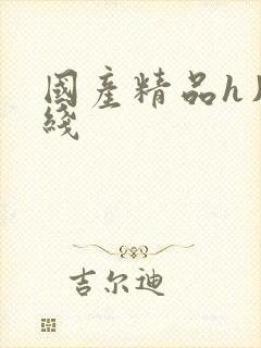 国产精品h片在线