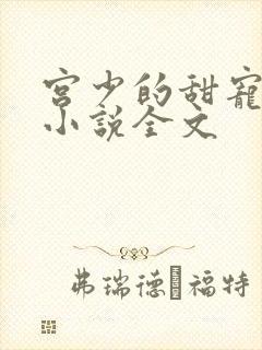 宫少的甜宠娇妻小说全文