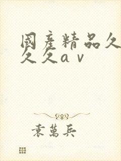 国产精品久久久久久aⅴ