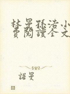 林曼孙浩小说免费阅读全文最新章节