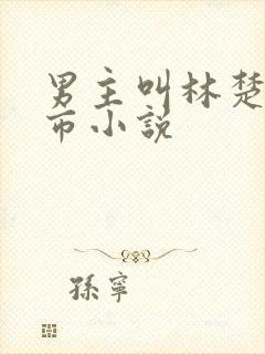 男主叫林楚的都市小说