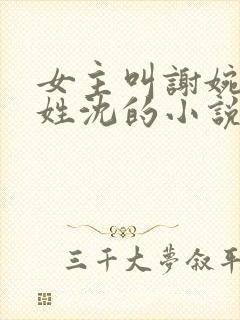 女主叫谢婉男主姓沈的小说