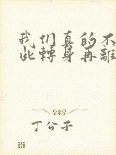 我们真的不会彼此转身再离开歌词