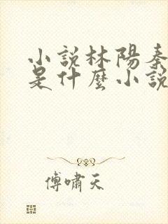 小说林阳秦墨浓是什么小说