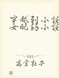 穿越到小说里当女配的小说