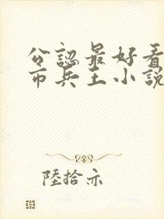 公认最好看的都市兵王小说