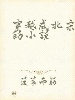 穿越成北宋赵谌的小说