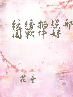 纹绣拍照哪个修图软件好