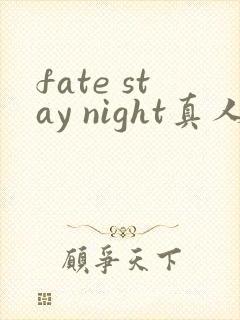 fate stay night真人版