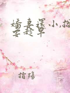 娇妻还小,总裁要趁早