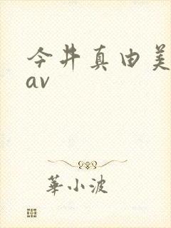 今井真由美在线av