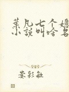 叶凡七个媳妇的小说叫啥名字