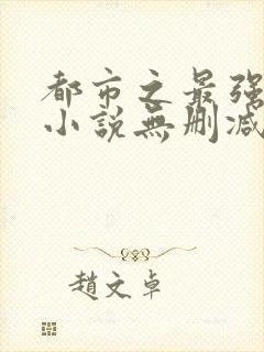 都市之最强狂兵小说无删减版