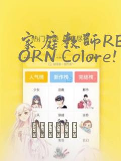 家庭教师REBORN Colore! 画集