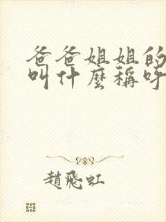 爸爸姐姐的儿子叫什么称呼