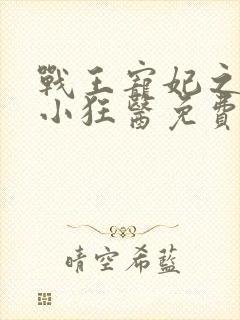 战王宠妃之倾世小狂医免费阅读