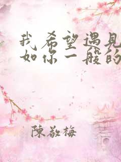 我希望遇见一个如你一般的人