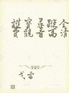 护宝寻踪全集免费观看高清