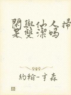 闲与仙人扫落花是双洁吗