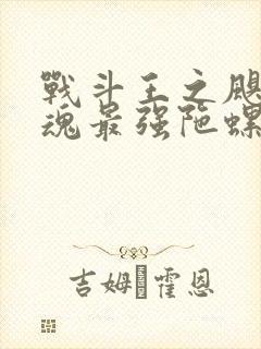 战斗王之飓风战魂最强陀螺