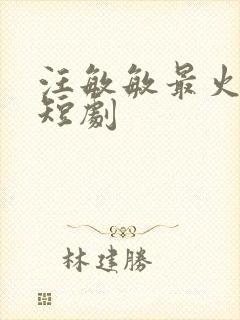 汪敏敏最火十部短剧