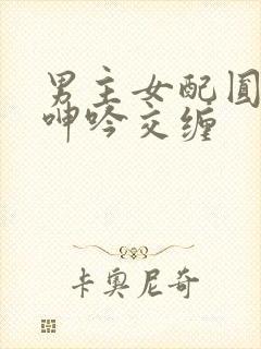 男主女配圆房h呻吟交缠