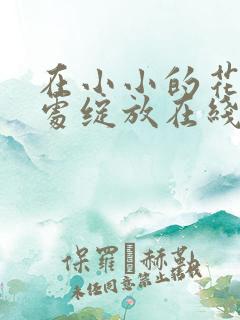 在小小的花蕾深处绽放在线观看