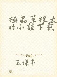 极品草根太子txt小说下载